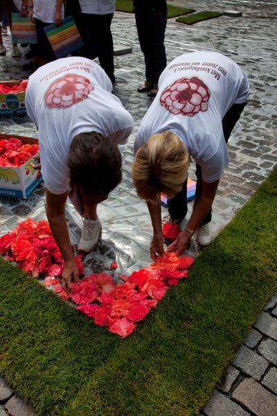 flower carpet 2010