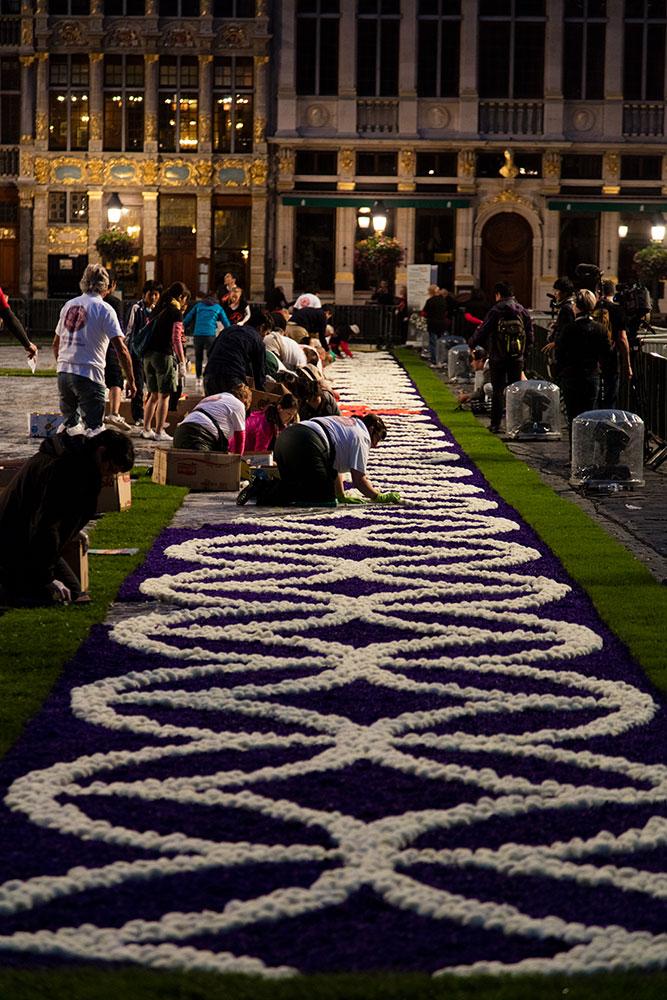 flower carpet 2016