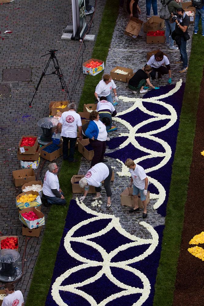 flower carpet 2016