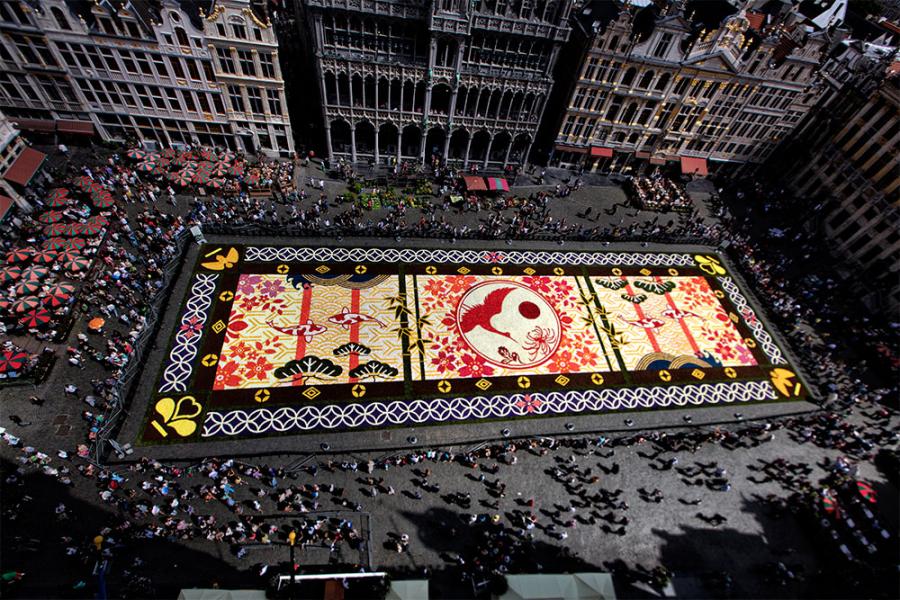 flower carpet 2016